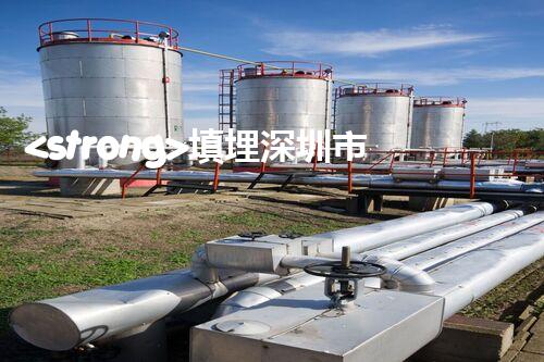 <strong>填埋深圳市危險(xiǎn)廢物處理站有限公司化工設(shè)施安全解體：如何高效處理復(fù)雜工業(yè)遺留問(wèn)題？</strong>